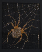 Spider in web on black silk